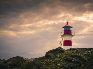 Cases - Kombination kundecase Destination Limfjorden fyrtårn Forretningsudvikling